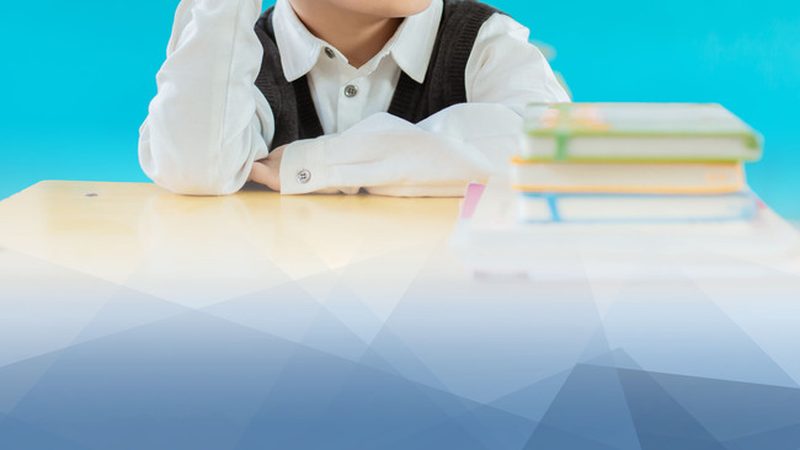 小标题：加盟职业培训，先了解行业背景